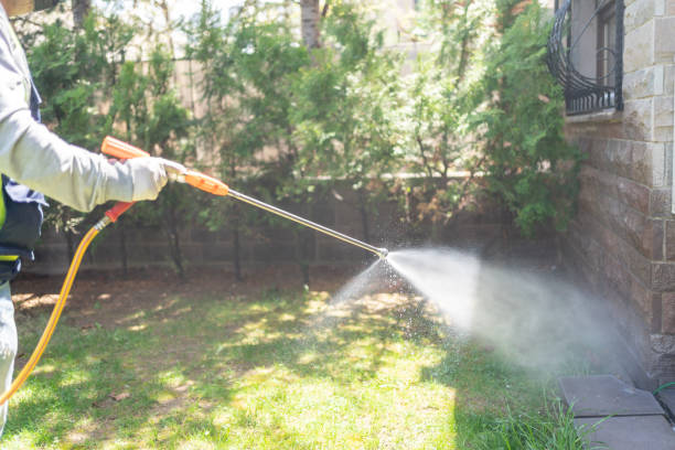 Best Local Pest Control Services  in Kouts, IN
